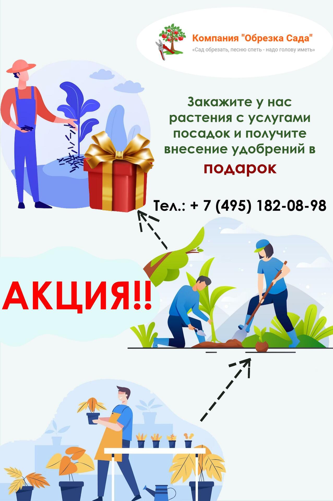 Посадка + покупка_Обр_сад