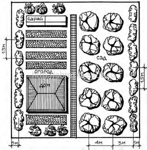 Планировка плодового сада схема